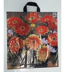 PE taka foto - GERBERA 44x48cm